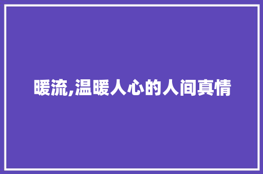 暖流,温暖人心的人间真情