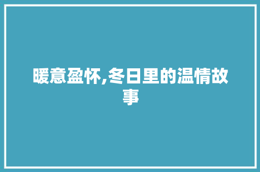 暖意盈怀,冬日里的温情故事