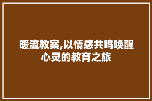 暖流教案,以情感共鸣唤醒心灵的教育之旅