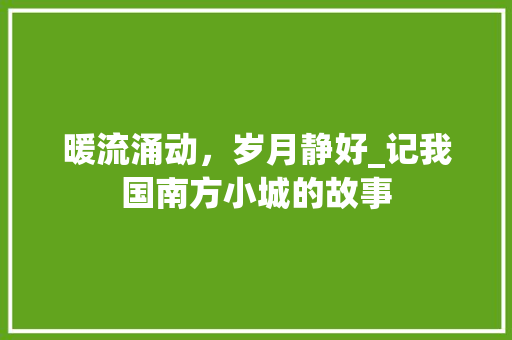 暖流涌动，岁月静好_记我国南方小城的故事