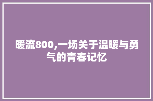 暖流800,一场关于温暖与勇气的青春记忆