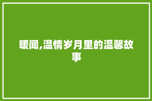 暖闻,温情岁月里的温馨故事