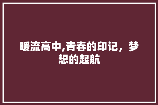 暖流高中,青春的印记，梦想的起航