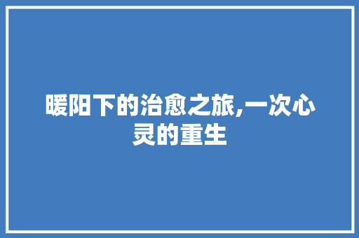 暖阳下的治愈之旅,一次心灵的重生 申请书范文