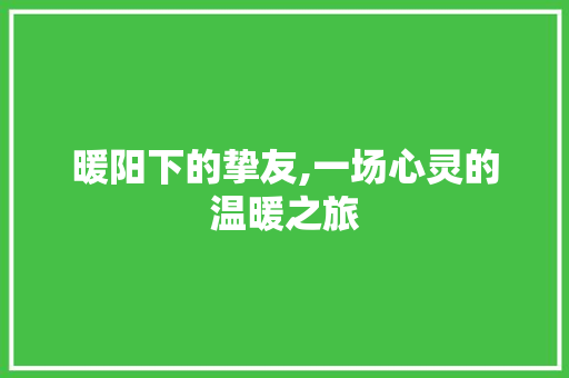 暖阳下的挚友,一场心灵的温暖之旅 致辞范文