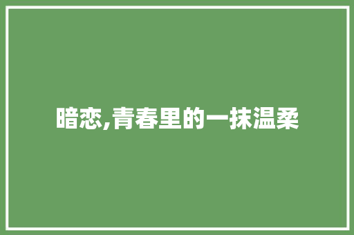 暗恋,青春里的一抹温柔