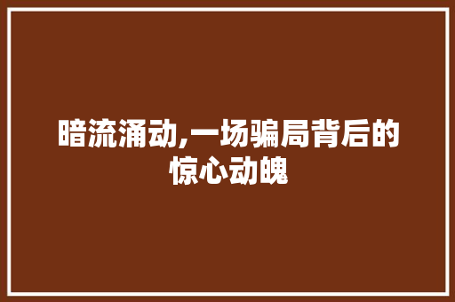 暗流涌动,一场骗局背后的惊心动魄