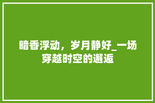 暗香浮动，岁月静好_一场穿越时空的邂逅