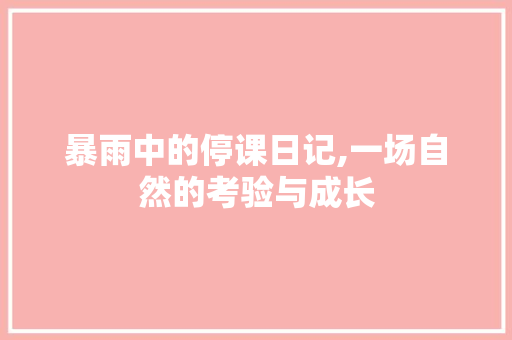 暴雨中的停课日记,一场自然的考验与成长