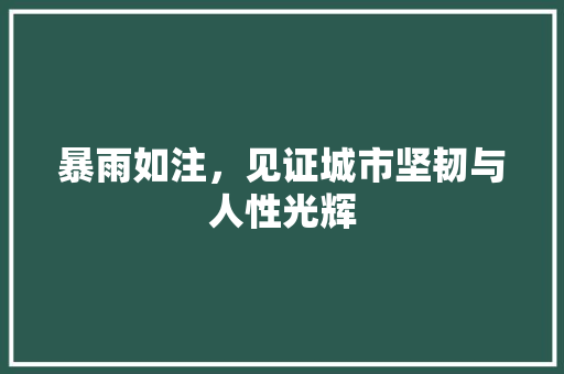 暴雨如注，见证城市坚韧与人性光辉