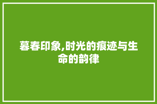 暮春印象,时光的痕迹与生命的韵律