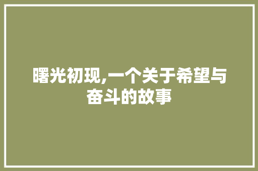 曙光初现,一个关于希望与奋斗的故事