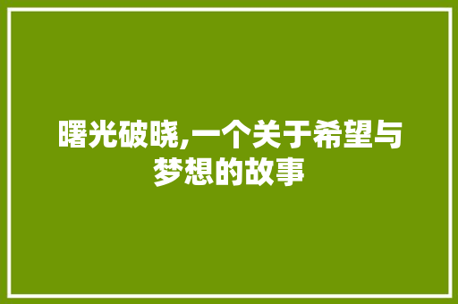 曙光破晓,一个关于希望与梦想的故事