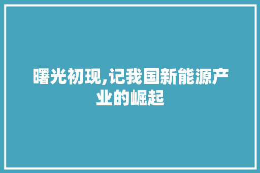 曙光初现,记我国新能源产业的崛起