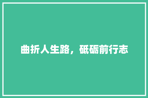 曲折人生路，砥砺前行志