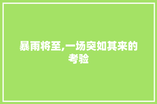 暴雨将至,一场突如其来的考验