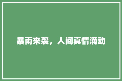 暴雨来袭，人间真情涌动