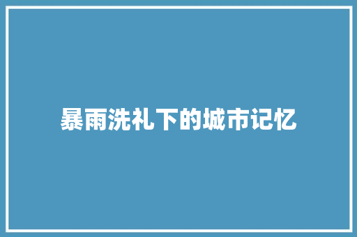 暴雨洗礼下的城市记忆