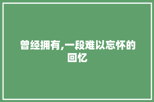 曾经拥有,一段难以忘怀的回忆