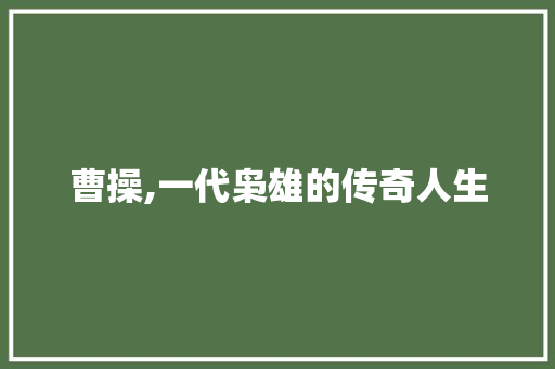 曹操,一代枭雄的传奇人生