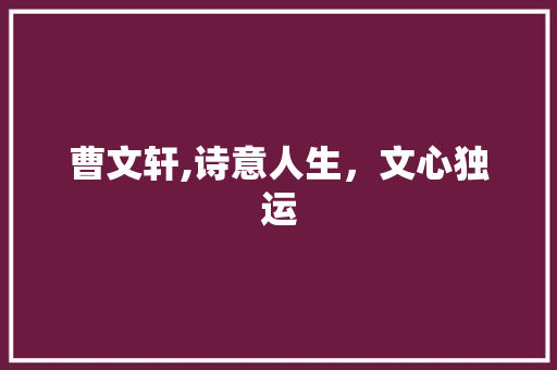 曹文轩,诗意人生，文心独运