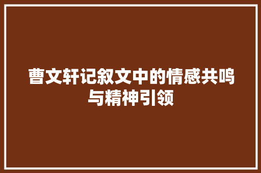 曹文轩记叙文中的情感共鸣与精神引领