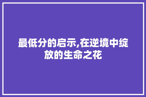 最低分的启示,在逆境中绽放的生命之花