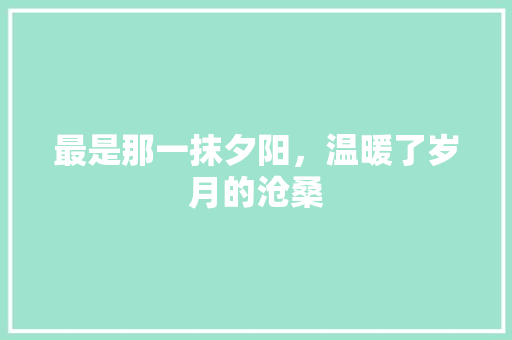 最是那一抹夕阳，温暖了岁月的沧桑