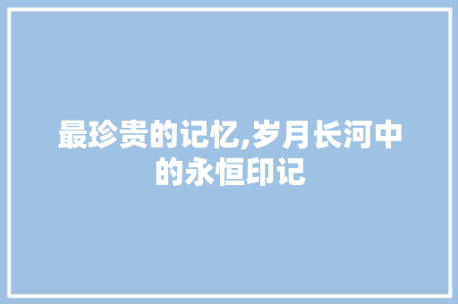 最珍贵的记忆,岁月长河中的永恒印记 论文范文