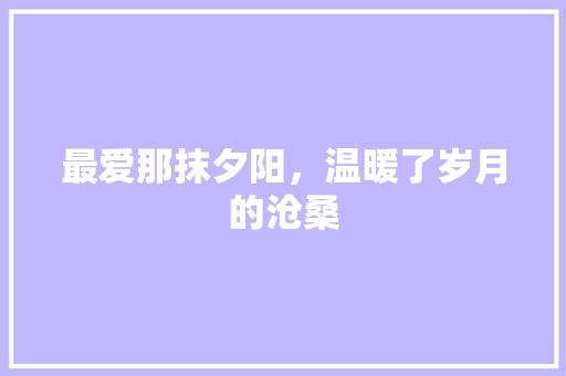 最爱那抹夕阳，温暖了岁月的沧桑 申请书范文