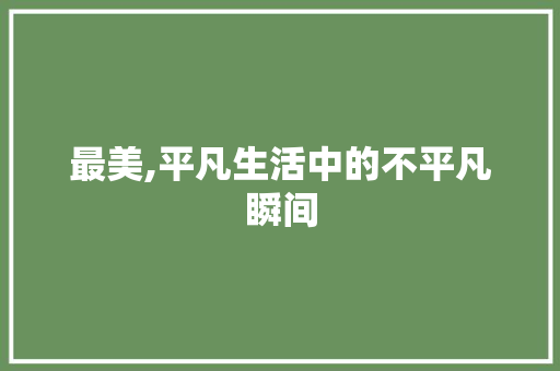 最美,平凡生活中的不平凡瞬间