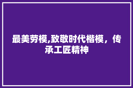 最美劳模,致敬时代楷模，传承工匠精神