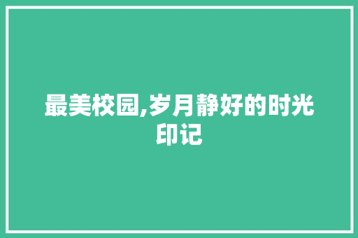 最美校园,岁月静好的时光印记