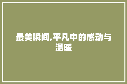 最美瞬间,平凡中的感动与温暖