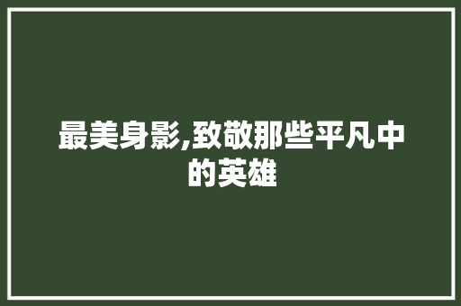 最美身影,致敬那些平凡中的英雄