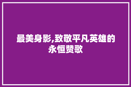 最美身影,致敬平凡英雄的永恒赞歌