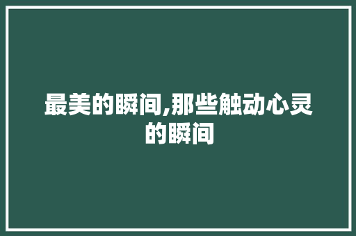 最美的瞬间,那些触动心灵的瞬间