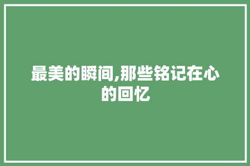 最美的瞬间,那些铭记在心的回忆