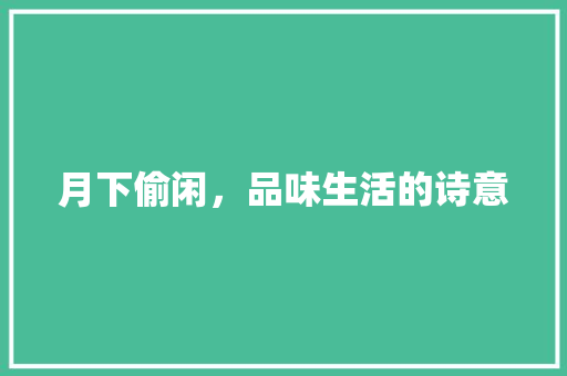 月下偷闲，品味生活的诗意