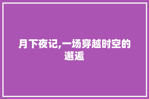 月下夜记,一场穿越时空的邂逅