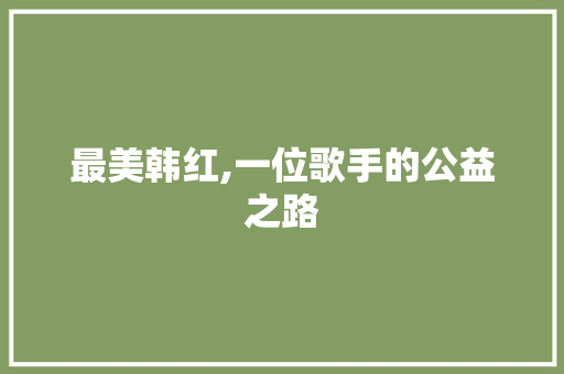 最美韩红,一位歌手的公益之路