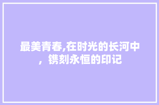 最美青春,在时光的长河中，镌刻永恒的印记