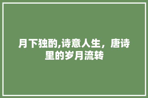 月下独酌,诗意人生，唐诗里的岁月流转