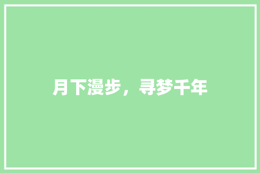 月下漫步，寻梦千年