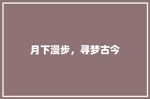 月下漫步，寻梦古今