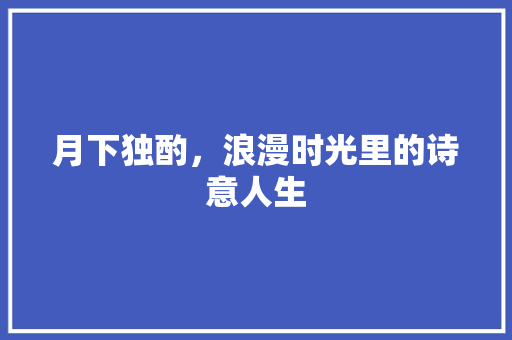 月下独酌，浪漫时光里的诗意人生