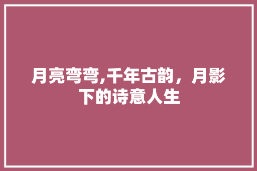 月亮弯弯,千年古韵，月影下的诗意人生