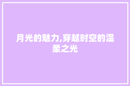 月光的魅力,穿越时空的温柔之光