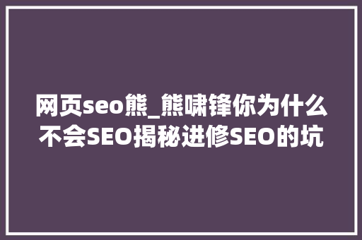 网页seo熊_熊啸锋你为什么不会SEO揭秘进修SEO的坑和打破口