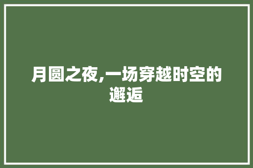 月圆之夜,一场穿越时空的邂逅